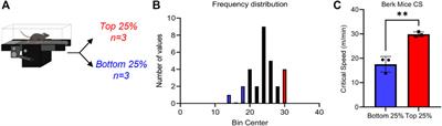 Metabolic correlates to critical speed in murine models of sickle cell disease